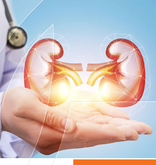 Enfermedad Renal Crónica